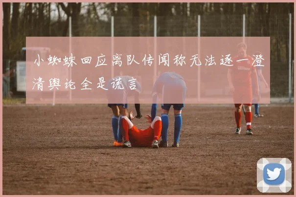小蜘蛛回应离队传闻称无法逐一澄清舆论全是谎言