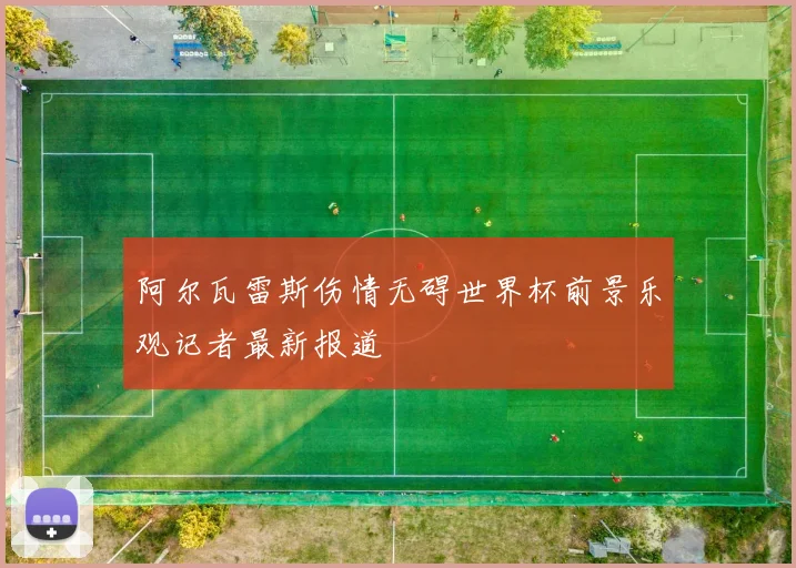阿尔瓦雷斯伤情无碍世界杯前景乐观记者最新报道